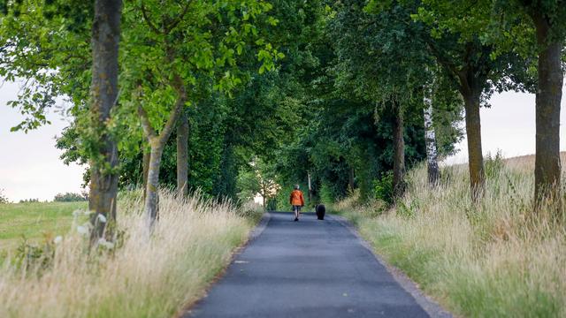 Wetter in NRW: Regen und Sonne: NRW erwartet unbeständige Tage