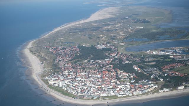 Natur: Schweinswal strandet vor Norderney