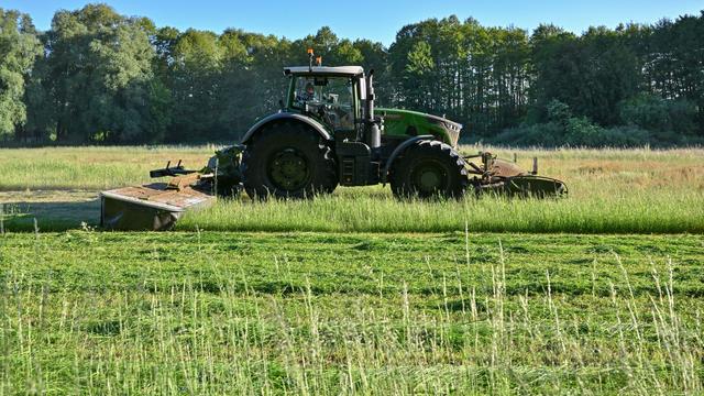 Agrar: Foto-App mit KI soll Bauern und Behörden entlasten