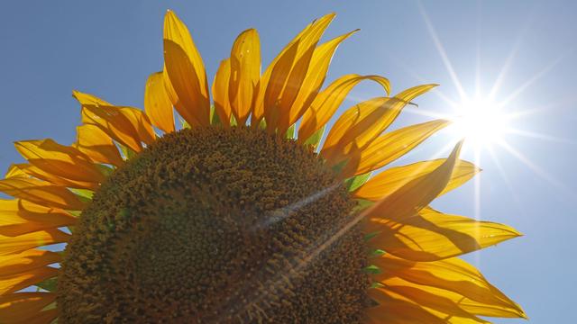 Wetter: Freundliches Wetter und heranziehender Regen im Osten