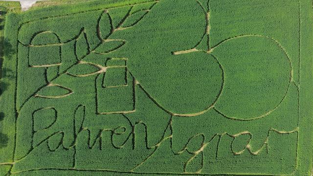 Suchspiel: Durchs hohe Grün: Hanflabyrinth öffnet