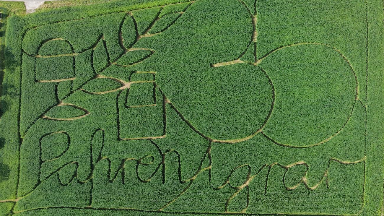 Suchspiel: Durchs hohe Grün: Hanflabyrinth öffnet