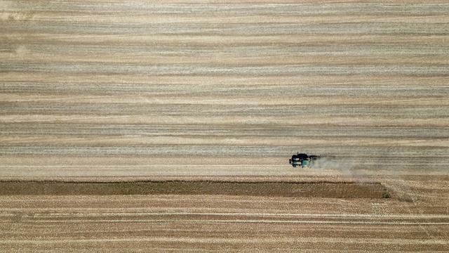Trockenheit: Ein Sommer, der den Takt verändert