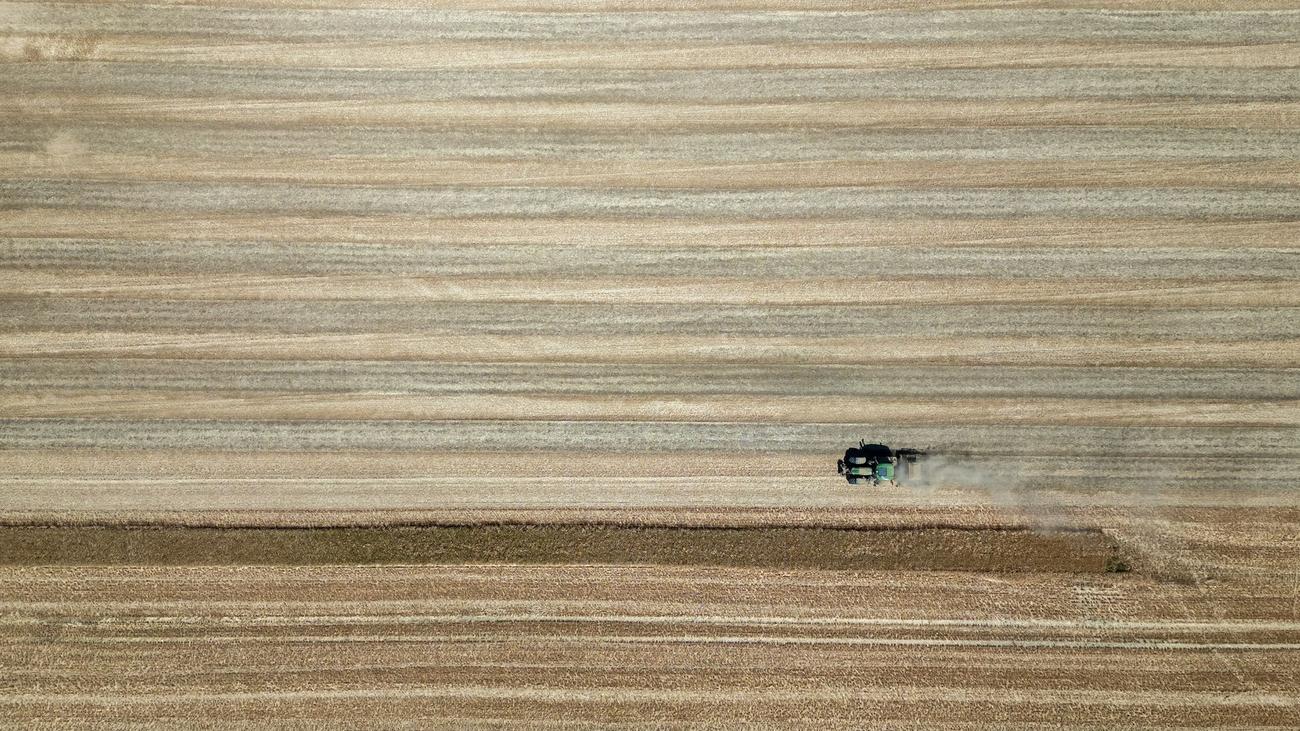 Trockenheit: Ein Sommer, der den Takt verändert