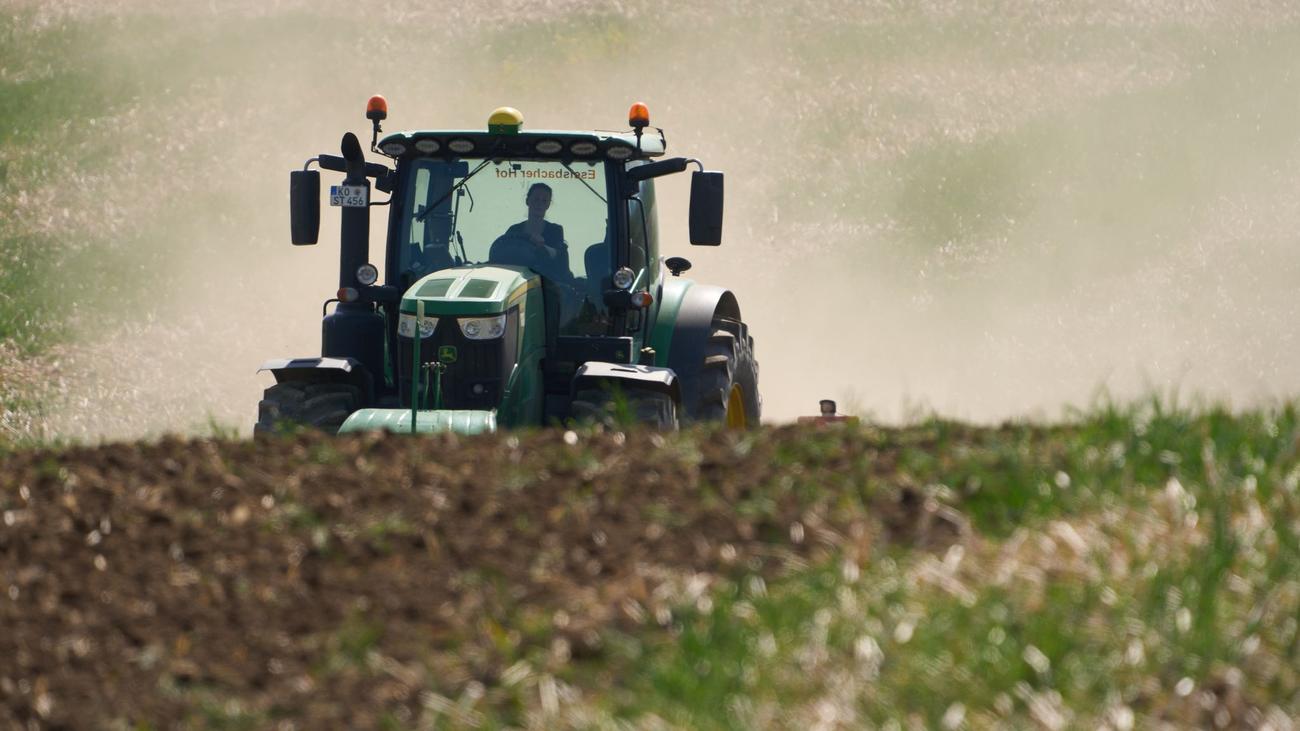 Bilanz Landwirtschaft 2026: Ernte mit zwei Gesichtern - «Gute Erträge, niedrige Preise»