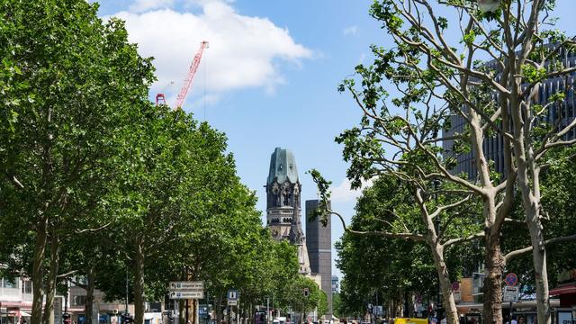 Flächenentsiegelung: Mehr Bäume für Berlin - Senat sieht sich auf gutem Weg