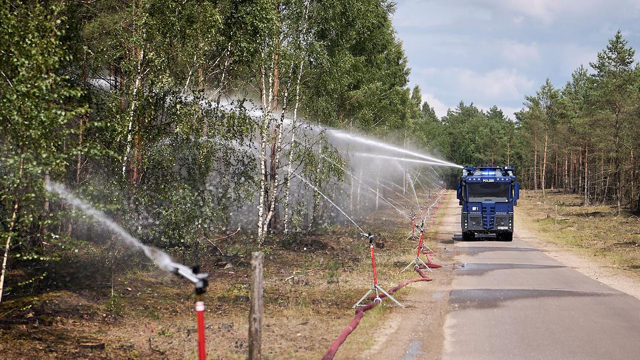 Waldbrand überstanden: Nach Waldbrand: Wege im Müritz-Nationalpark wieder frei