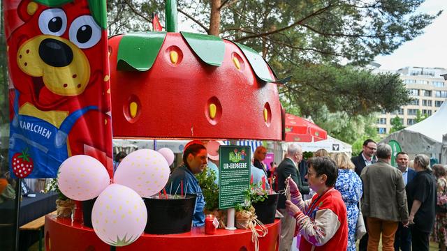 Erdbeeren: Tüfteln für die längere Erdbeersaison und niedrigere Kosten