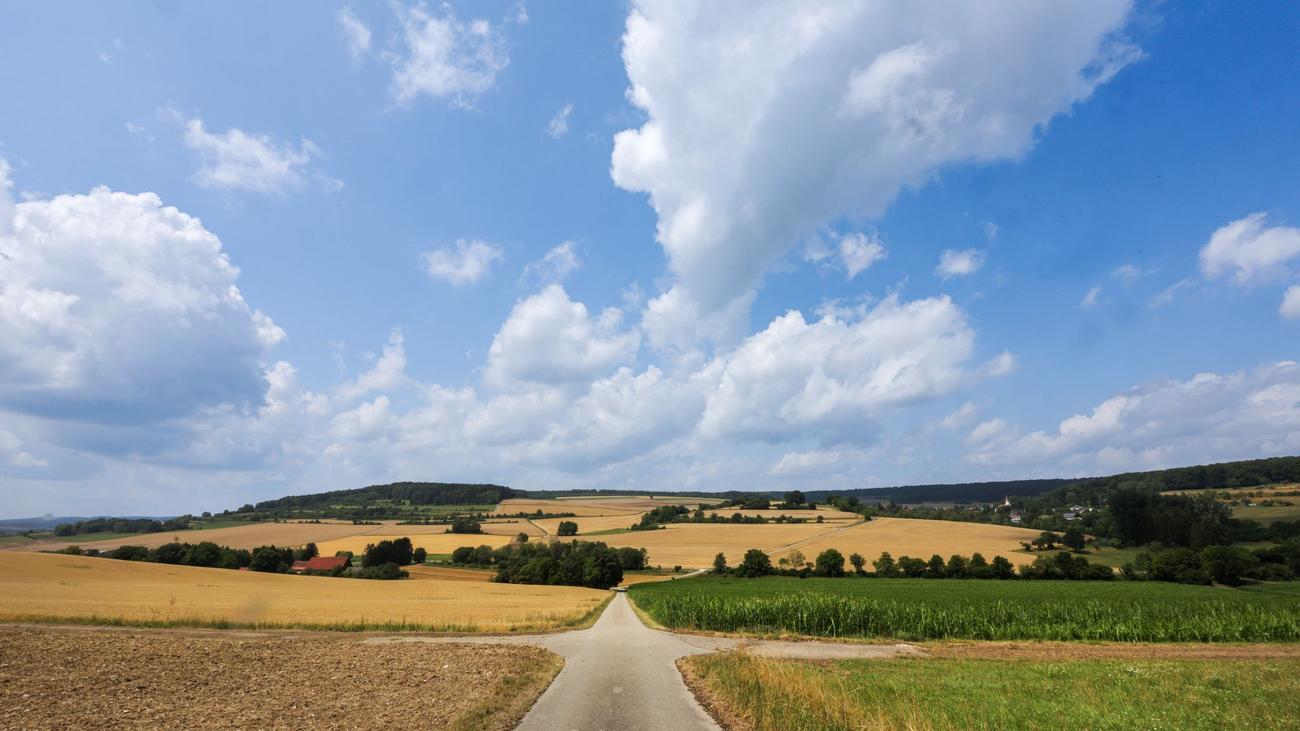 Wetterbericht: Wo heute fast 30 Grad erwartet werden