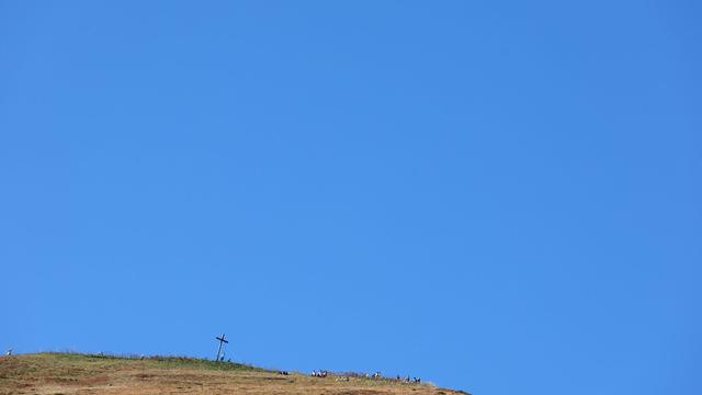Österreich: 63-Jährige verunglückt beim Wandern tödlich