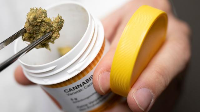 German hospitals see moderate rise in cannabis cases post-legalization
