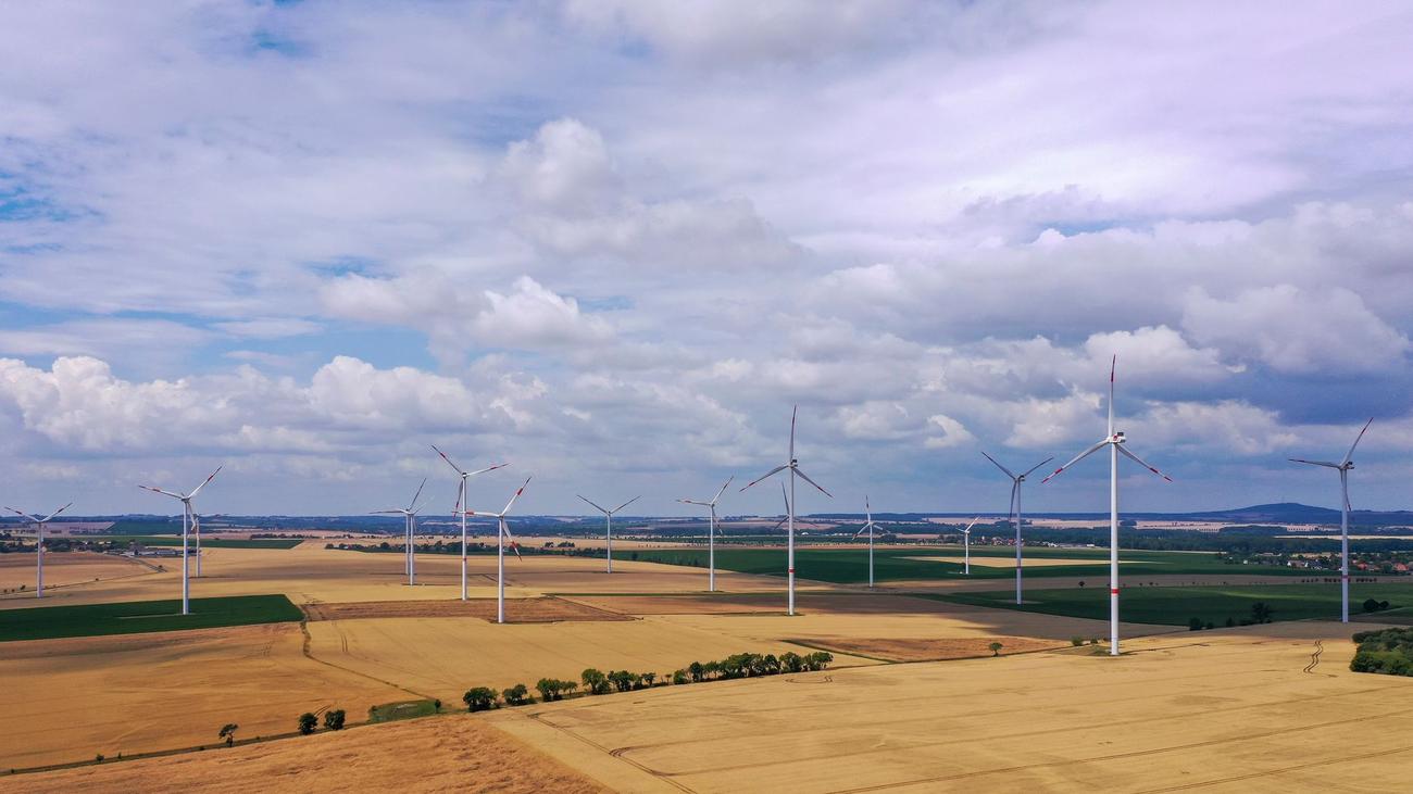 Erneuerbare Energie: Sachsen mit zweitwenigsten Windrädern unter Flächenländern