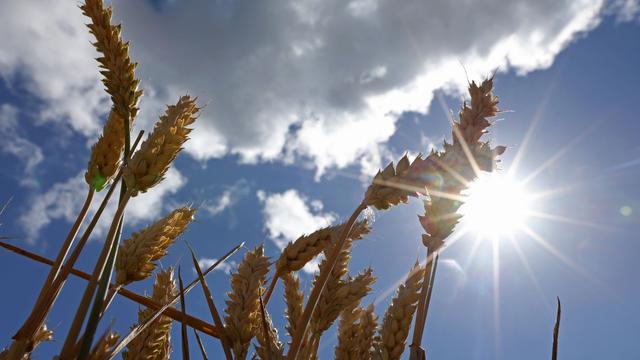 Wetter: Bis zu 30 Grad am Samstag – Sonntag bringt Wetterumschwung