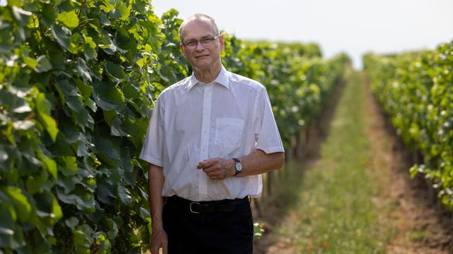 Weinbauern in der Bredouille: Hilfe für Winzer in Not