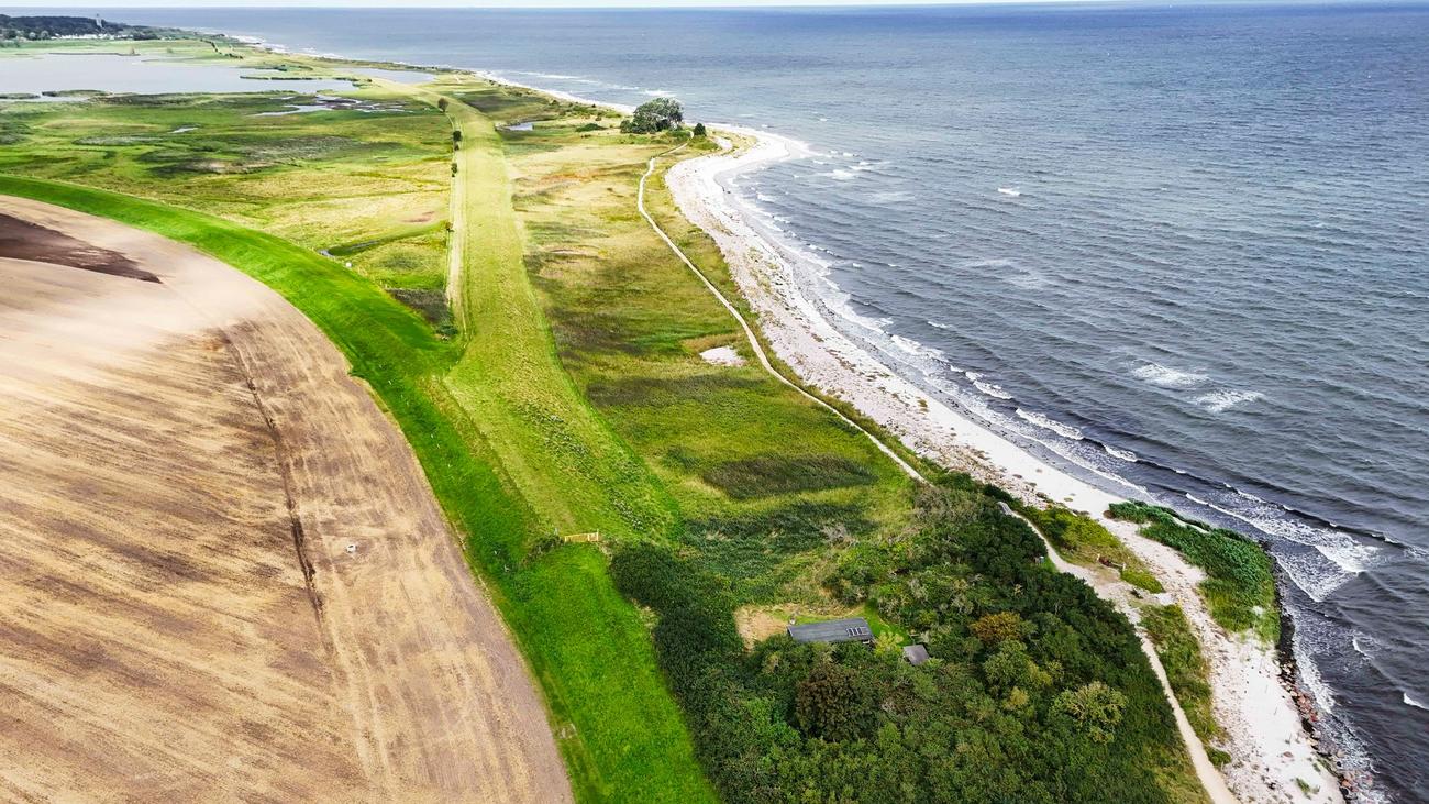 Küstenschutz an der Ostsee: Land unterstützt modernen Küstenschutz an der Ostsee