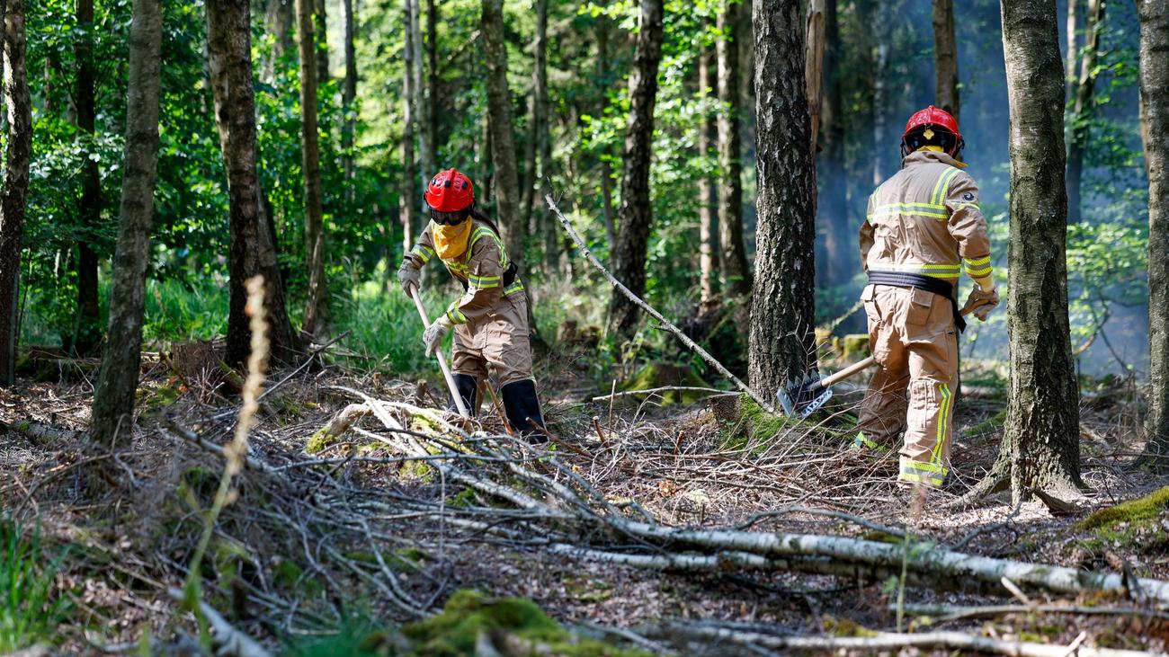 Großeinsatz: Waldbrand bei Meschede: Landwirte helfen mit Güllefässern