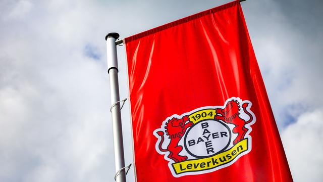 Fußball-Bundesliga: Leverkusen verpflichtet Abwehrtalent Erlein aus Hoffenheim