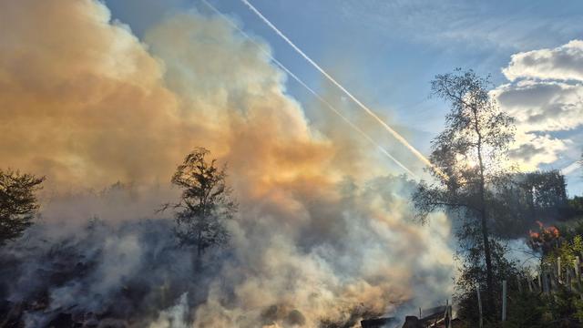 Nur noch einzelne Glutnester: Waldbrand im Kreis St. Wendel weitgehend gelöscht