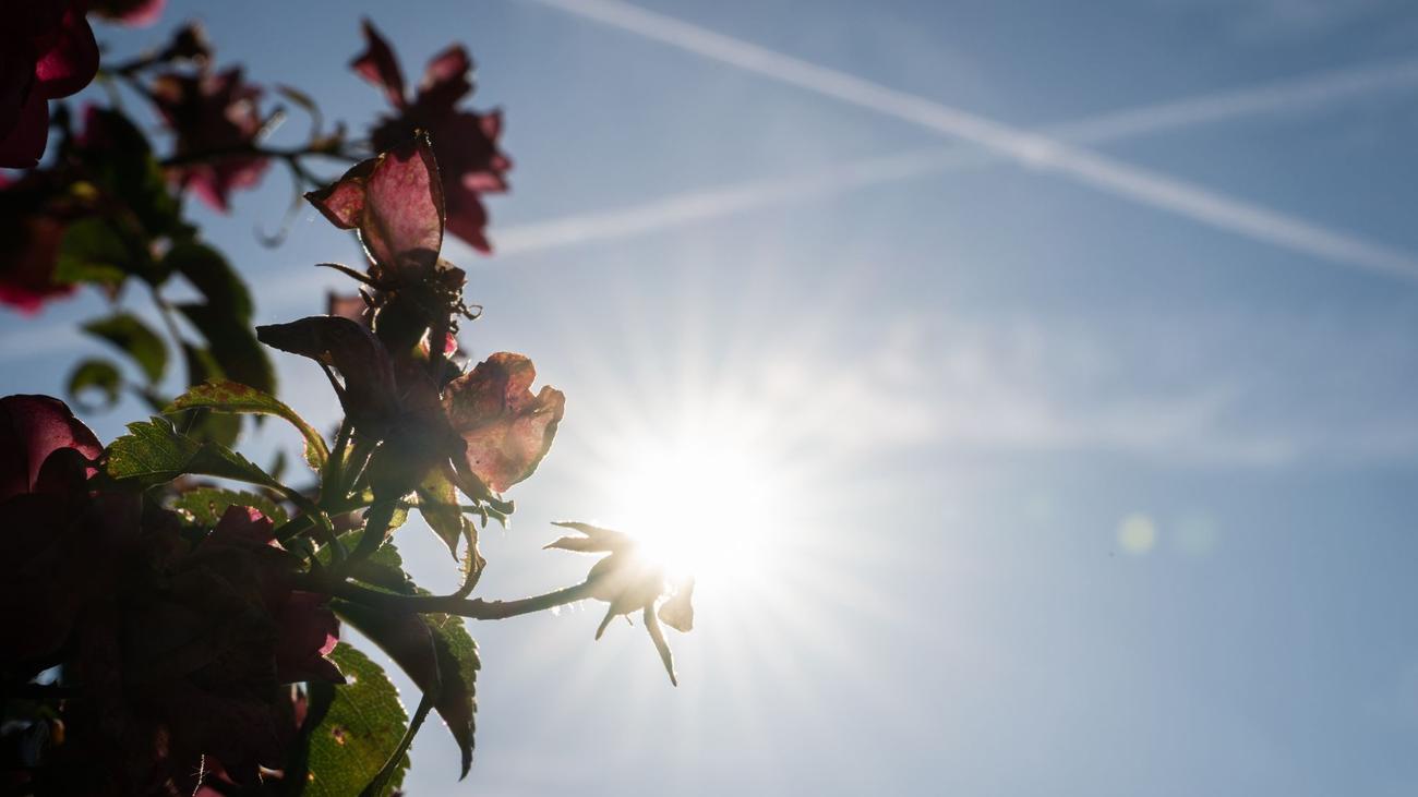 Wetter: Erst etwas Abkühlung, dann wieder Hitze in Hessen erwartet