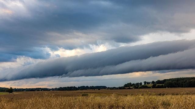 Wetter: Regenwetter in Berlin und Brandenburg - Gewitter erwartet