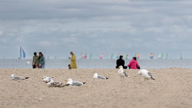 Ministerielle Urlaubspläne: Der kleine Reise-Atlas der NRW-Politik und was er uns verrät