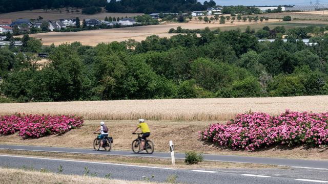 Wetterfolgen: Es ist zu trocken in Hessen - sichtbare Folgen in der Natur