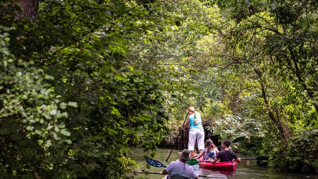 Wetter: Regen zieht ab und sommerliche Tage folgen
