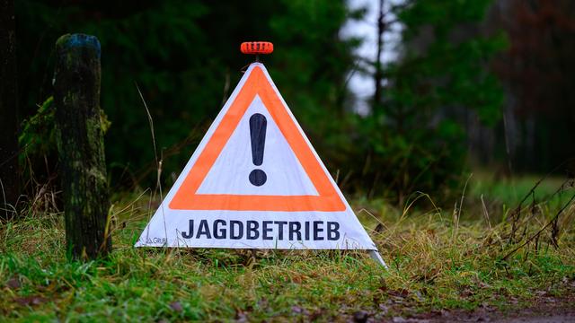 Prozess um Jagdunfall: Anwohnerin im Garten von Kugel getroffen - Jäger vor Gericht