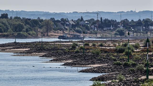 Rhein wird immer schmaler: Historischer Tiefstand am Rheinpegel in Köln befürchtet