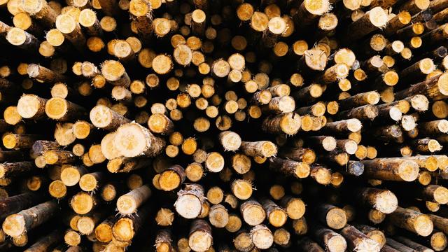 Kartell: Schadenersatz für Sägewerke? BGH sieht noch Klärungsbedarf