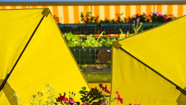 Wetter: Bis zu 38 Grad in Berlin und Brandenburg - abends Gewitter
