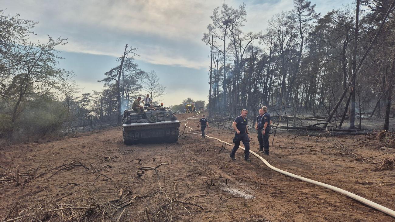 Feuerwehr im Einsatz: Waldbrand von Auto ausgelöst? Panzer im Einsatz