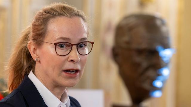 Begrüßungsgeld für Babys: Juristin Brosius-Gersdorf: AfD-Forderung verfassungswidrig