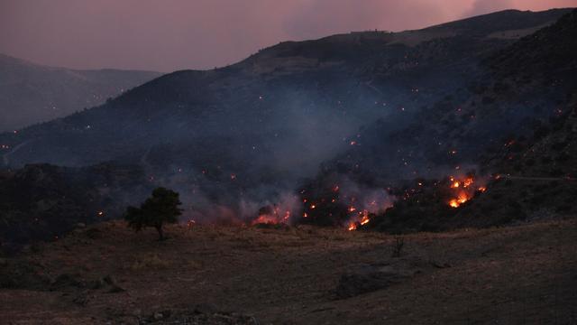 Waldbrände in Südeuropa: Griechenland und Türkei kämpfen weiter gegen schwere Brände