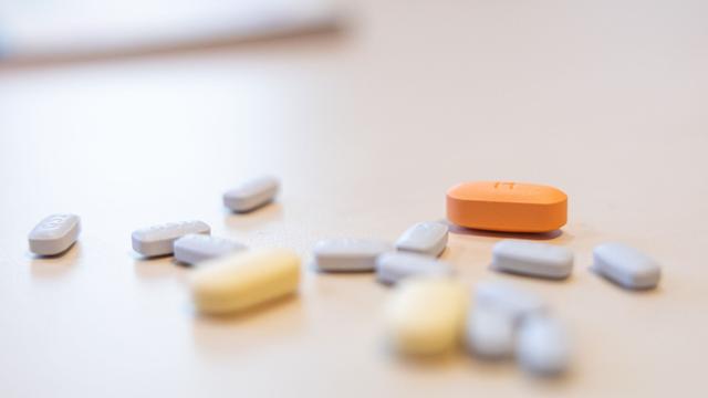 Fund beim Zoll: Schmuggel-Tabletten zwischen geröstetem Knoblauch versteckt