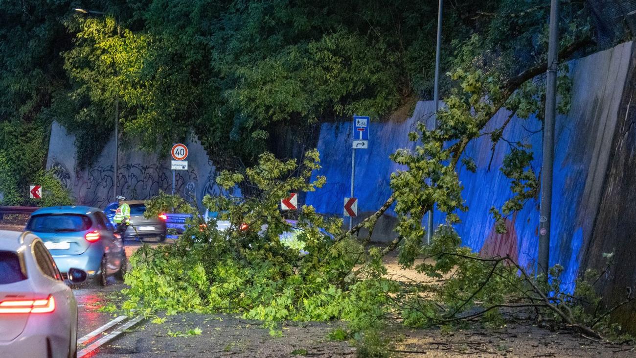 Feuerwehreinsätze: Unwetter in Stuttgart - Bäume umgekippt, viele Einsätze