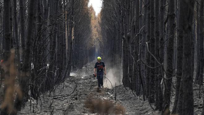 Fotografie: Ein Feuerwehrmann geht während der Waldbrände im Südwesten Frankreichs durch einen verkohlten Wald in der Nähe von Blagon.
