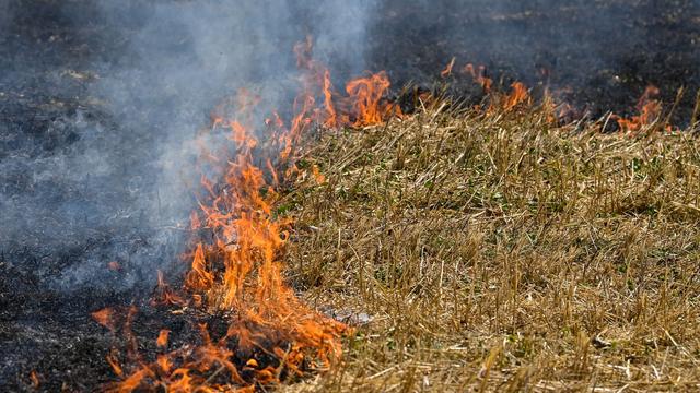 Trockenheit: Feueralarm im Südwesten: Mehrere trockene Felder brennen
