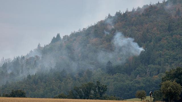 Zahlreiche Großeinsätze: Feuerwehr kämpft gegen Waldbrände in Bayern