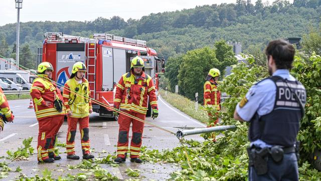 Feuerwehr im Einsatz: Heftiges Gewitter: Bäume stürzen auf Straße und Ampel