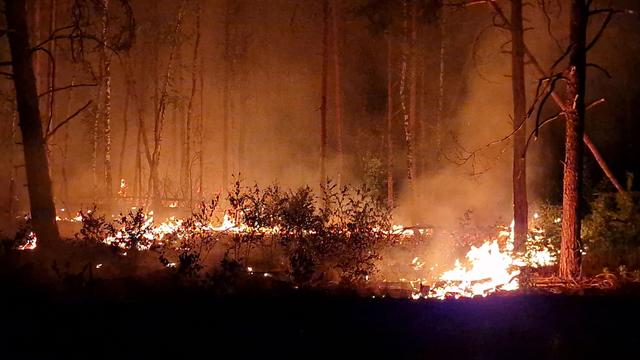 Waldbrandgefahren: Können Waldbrände wie in Südeuropa auch Brandenburg treffen?