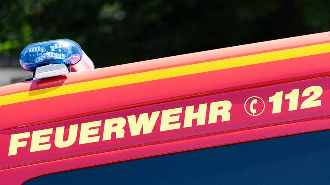 Rettungsaktion: Die Feuerwehr konnte das leicht verletzte Pferd aus dem Bach bergen. (Symbolbild)
