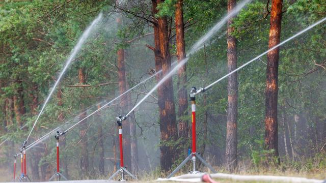 Waldbrände: Regen bringt kurze Entspannung bei Waldbrandgefahr