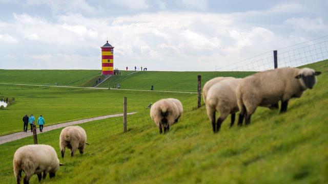 Low Water Levels on German Rivers Strain Economy