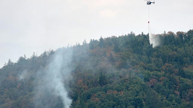 Landkreis Amberg-Sulzbach: Vier Feuerwehrleute bei Waldbrand in der Oberpfalz verletzt