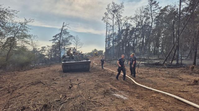 Brände: Waldbrand bei Reichenbach: Nachlöscharbeiten abgeschlossen