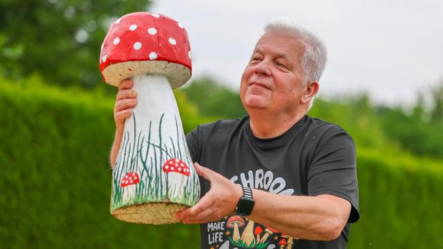 Giftig, oder nicht?: Was Pilzliebhaber wissen müssen