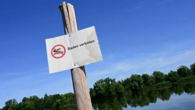Badesaison: Badeverbot am Buga-See wegen massiver Blaualgen-Vermehrung