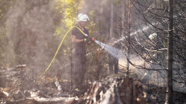 Warnung: Hohe Waldbrandgefahr in großen Teilen Hessens