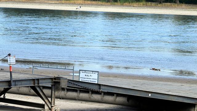 Binnenschifffahrt: Niedrigwasser am Rhein: Ruf nach Taskforce